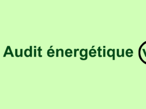 En 2019, ne dépensez pas pour un nouvel audit énergétique : Valorisez le précédent !