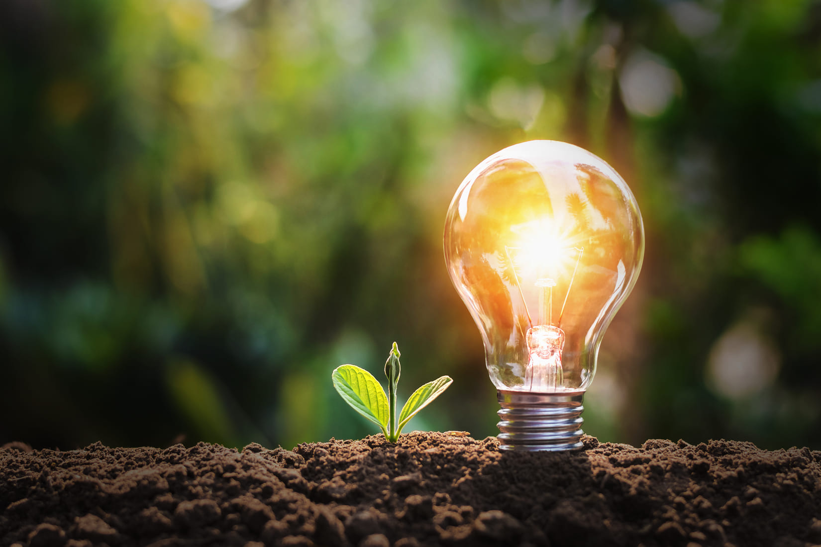 Ampoule et plante poussant dans la terre illustrant la solution TEEO SIME énergie