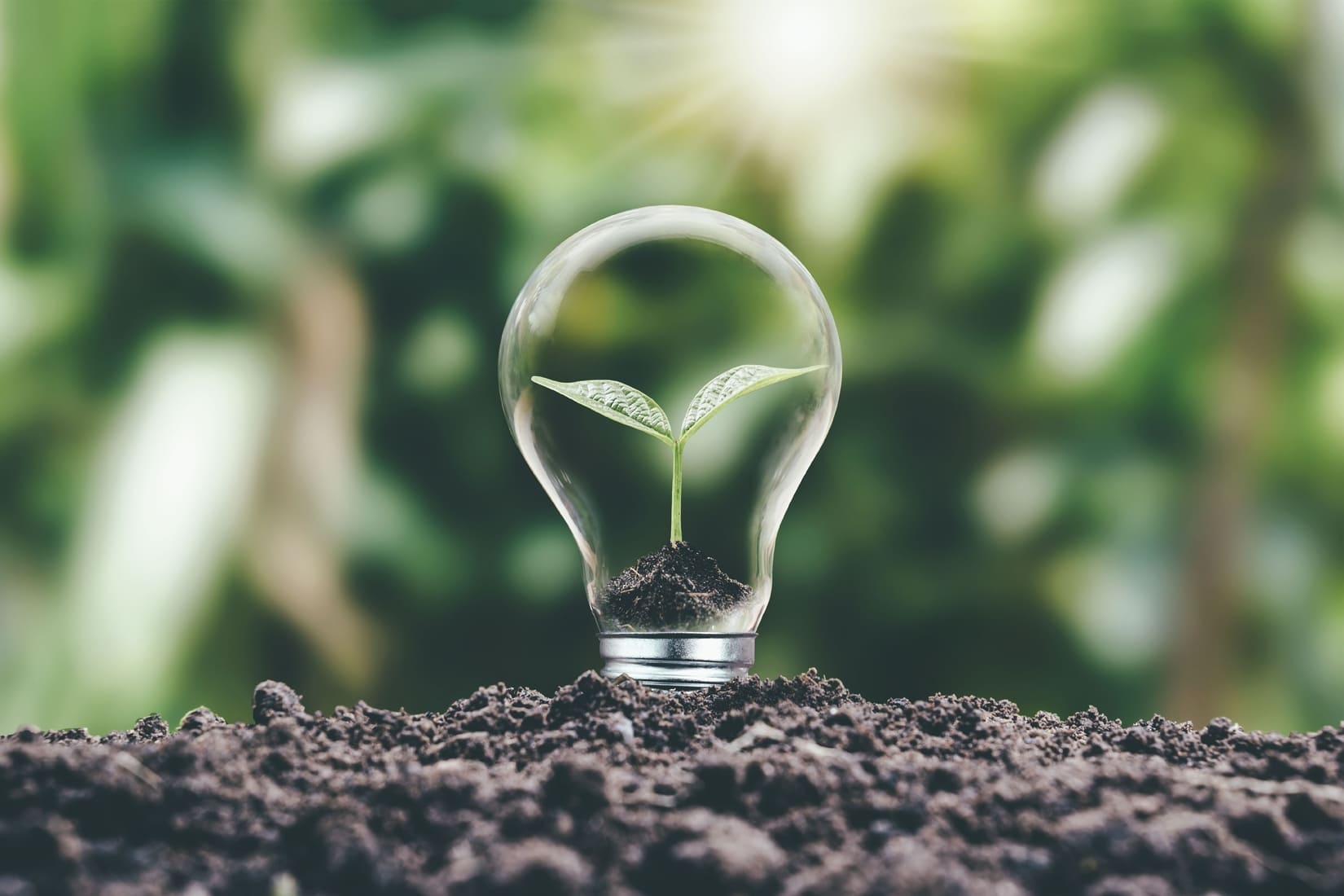 Journée Mondiale de l’Énergie : la digitalisation au service d’une gestion énergétique performante