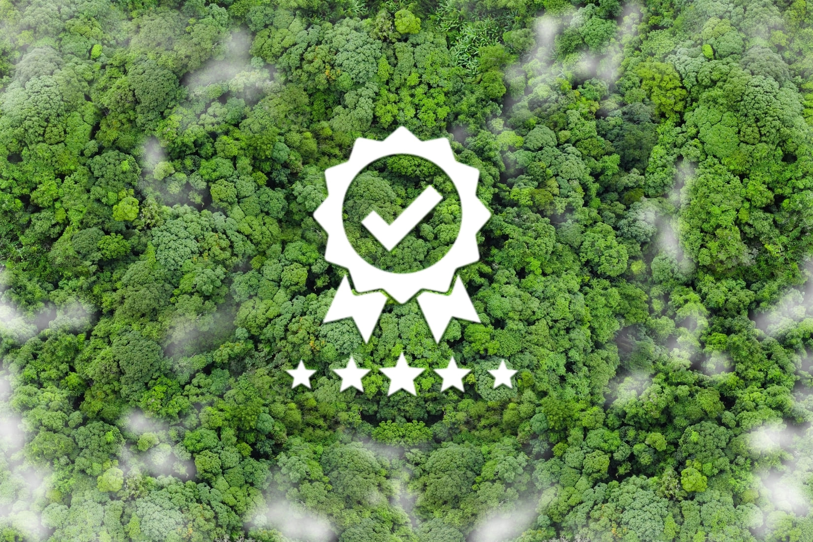 Forêt verte illustrant l'offre ISO 50001 de TEEO